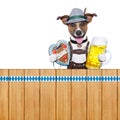 Bavarian beer dog Royalty Free Stock Photo