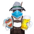 Bavarian beer dog in covid 19 time Royalty Free Stock Photo