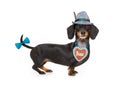 Bavarian beer dog Royalty Free Stock Photo