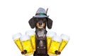 Bavarian beer dog Royalty Free Stock Photo