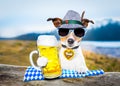 Bavarian beer dog Royalty Free Stock Photo