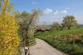 Bavarian countryside at springtime Royalty Free Stock Photo