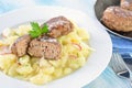 Bavarian delicate fried meatballs