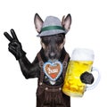 Bavarian dog Royalty Free Stock Photo