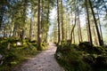 Bavarian Forest At Berchtesgaden Nationalpark