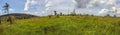 Bavarian Forest at the Peak of Great Falkenstein