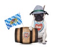 Bavarian german pug dog Royalty Free Stock Photo