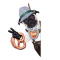 Bavarian german pug dog Royalty Free Stock Photo