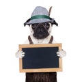 Bavarian german pug dog Royalty Free Stock Photo