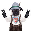 Bavarian german pug dog Royalty Free Stock Photo