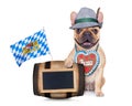 Bavarian german pug dog Royalty Free Stock Photo