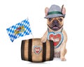 Bavarian german pug dog Royalty Free Stock Photo