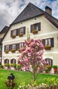 Bavarian house with flowers