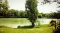 Bavarian lake in summer