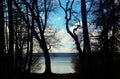 Idyllic view of Bavarian lake in winter