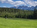 Bavarian landscape with high stand Royalty Free Stock Photo