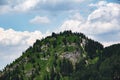 A Bavarian mountain landscape with a hill filled with green grass and trees