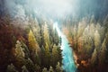 Bavarian wilderness covered in fog