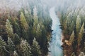 Bavarian wilderness covered in fog