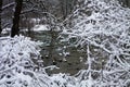 Bavarian winter landscape, green running waters framed by white