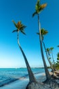 Bavaro Beach in Punta Cana Royalty Free Stock Photo