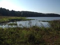 The bay of the big river goes into the forest