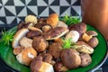 Bay boletes and mushrooms