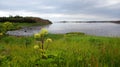 Bay of Borgarnes in Iceland Royalty Free Stock Photo