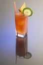 Bay Breeze Cocktail