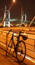 Bay Bridge and bicycle