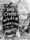 Bay cruise and whale watching sign, infrared Royalty Free Stock Photo