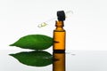 Bay essential oil, bay oil, bay leaf, amber glass bottle, dropper