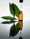 Bay essential oil, bay oil, bay leaf, amber glass bottle, dropper