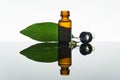 Bay essential oil, bay oil, bay leaf, amber glass bottle, dropper