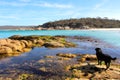 Bay of Fires beautiful day Royalty Free Stock Photo