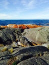 Bay of Fires Rocks in Tasmania Royalty Free Stock Photo