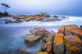 Bay of Fires,Tasmania, Australia Royalty Free Stock Photo