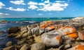 Bay of Fires, Tasmania Royalty Free Stock Photo