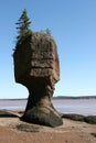 Bay of Fundy Royalty Free Stock Photo