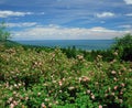 Bay of Fundy