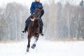 Bay horse with rider galloping on winter field Royalty Free Stock Photo