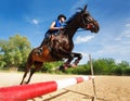 Bay horse with female rider jumping over a hurdle Royalty Free Stock Photo