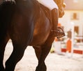 On a bay horse with a long tail in the saddle sits a rider who has on his feet black boots with spurs, illuminated by sunlight Royalty Free Stock Photo