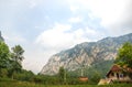 Bay horse near mountain lake Ak-kem, wild landscape, Belukha, Altai, Russia Royalty Free Stock Photo