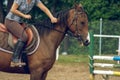 Horse and rider. Closeup of a man`s hand stroking a horse`s neck.