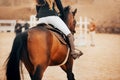 On a bay horse, a rider gallops to the barrier on an autumn day. Equestrian sports and horse riding. Show jumping competitions. Royalty Free Stock Photo