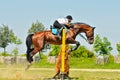 Bay horse and rider over a jump Royalty Free Stock Photo