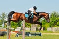 Bay horse and rider over a jump Royalty Free Stock Photo