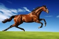 Bay horse run gallop on desert sand against blue sky. Neural network AI generated Royalty Free Stock Photo