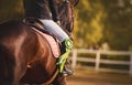 On a bay horse in the saddle sits a rider with a green rosette of the winner in equestrian competitions on a summer day.